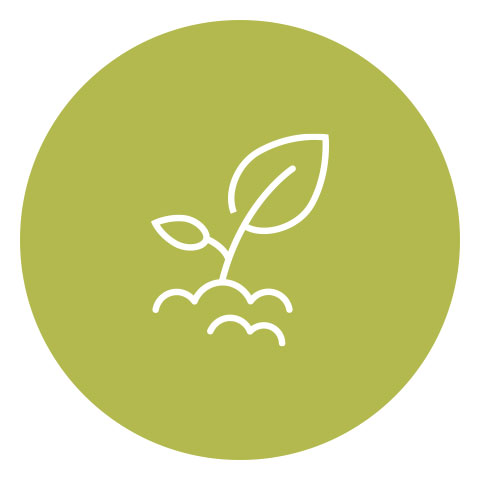 Agriculture and AgTech COMING SOON